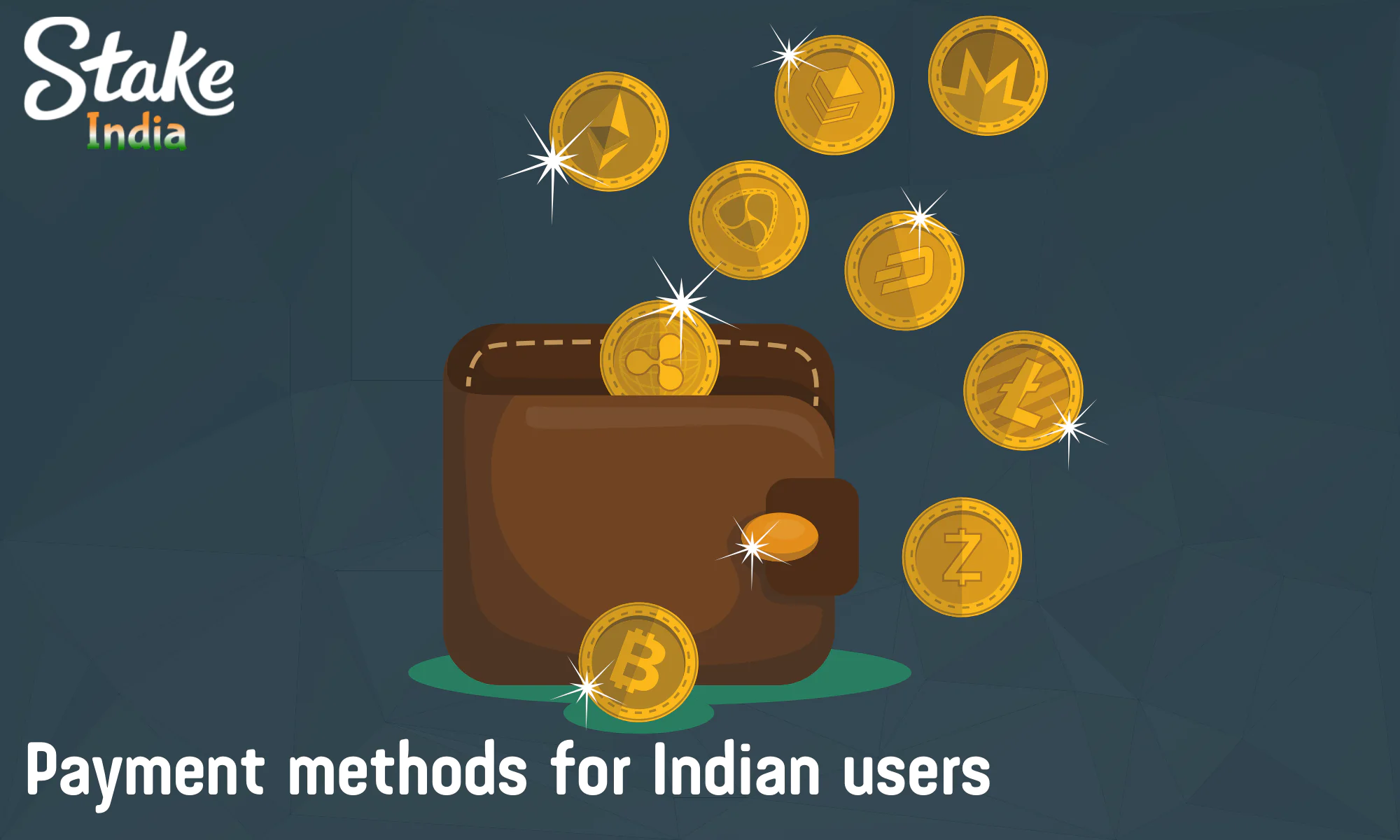 The list of available payment instruments at Stake includes more than 20 cryptocurrencies